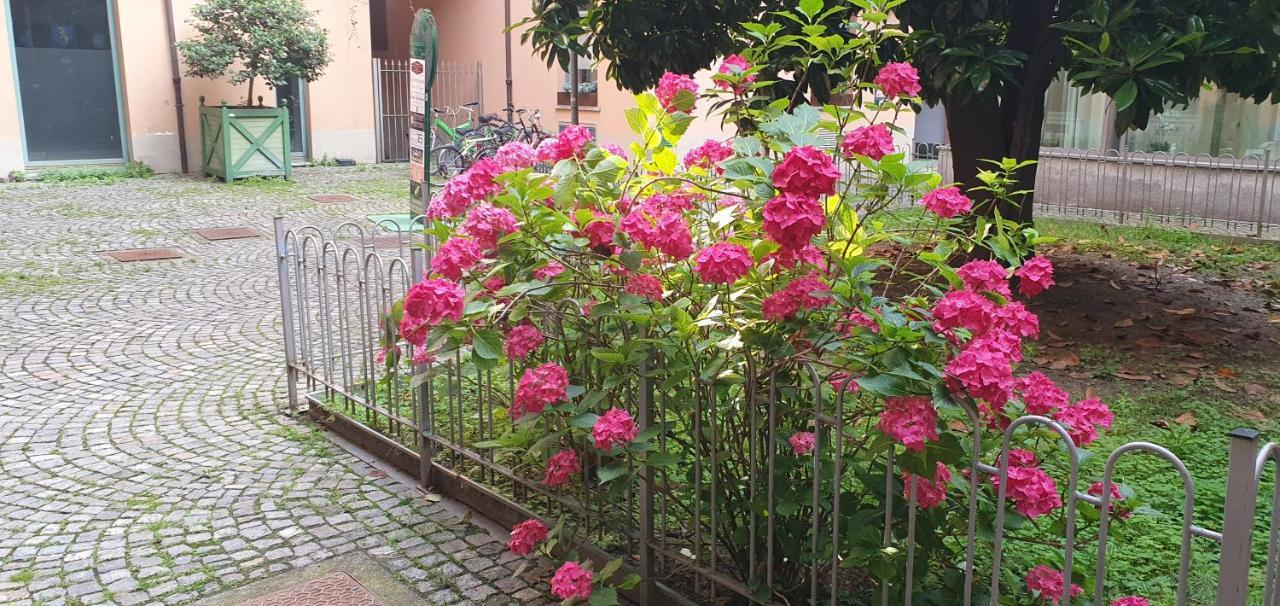 Central Loft Carina Ideale Per Visitare Il Centro Di Torino Buitenkant foto
